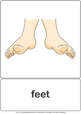 Bildkarte - feet.pdf